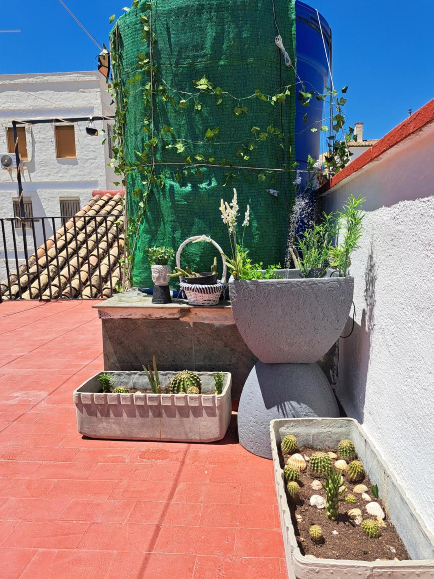 Apartament Casa Paloma Jaén Zewnętrze zdjęcie
